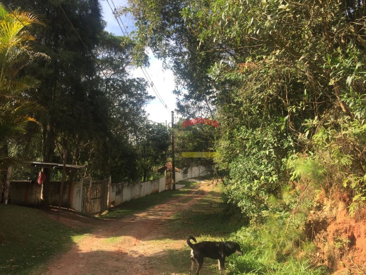 Foto 12