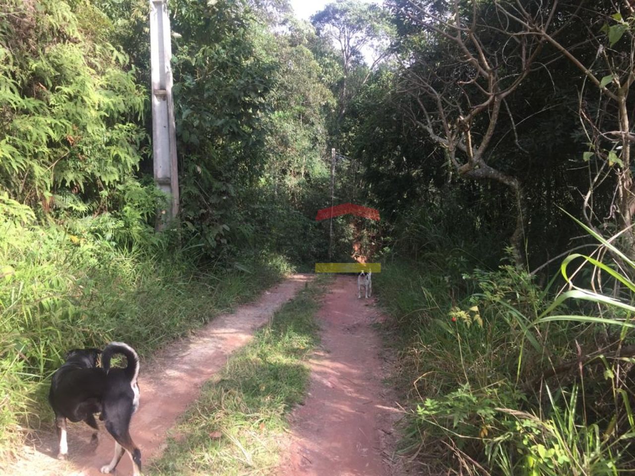 Foto 15