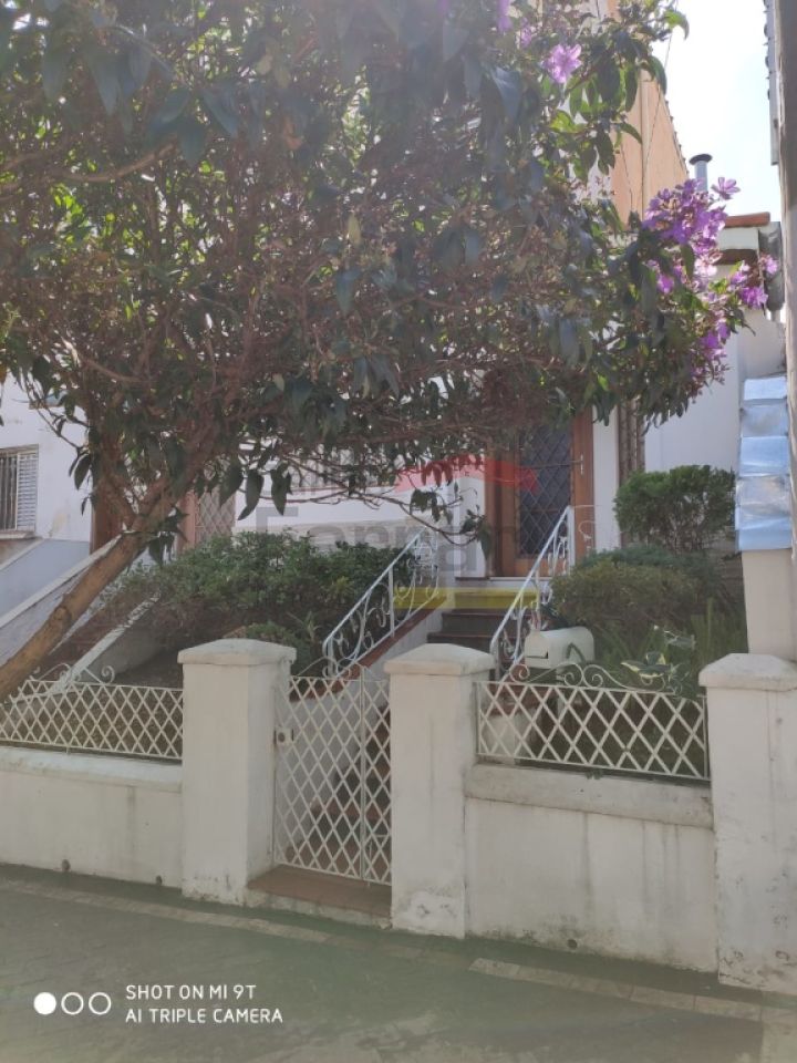 Foto 19