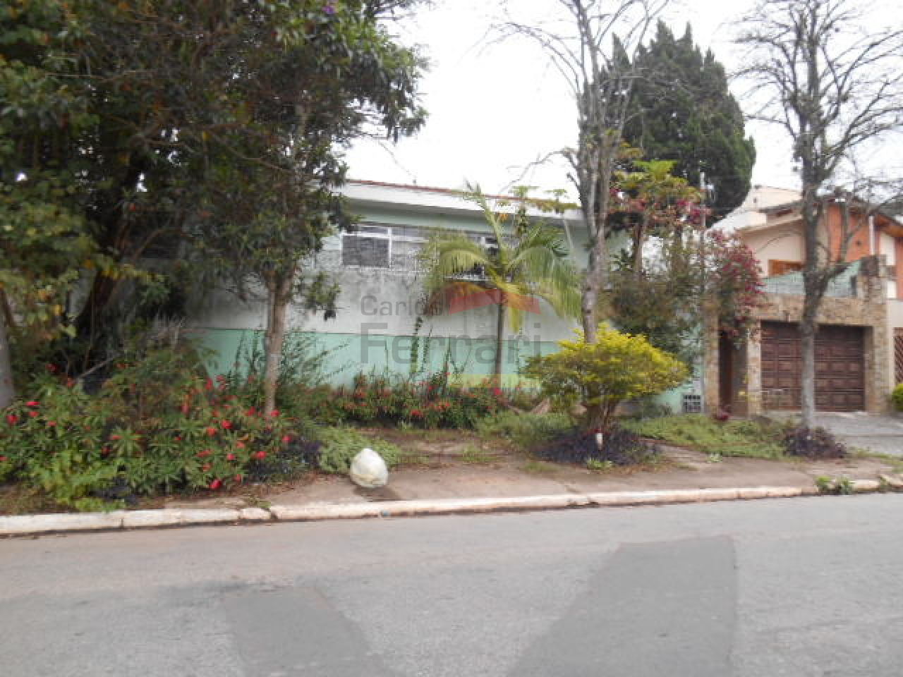 Foto 19