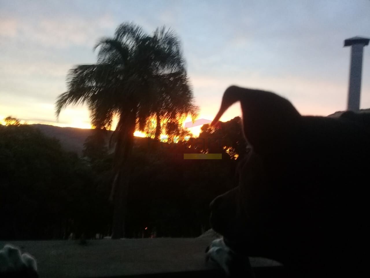 Foto 38
