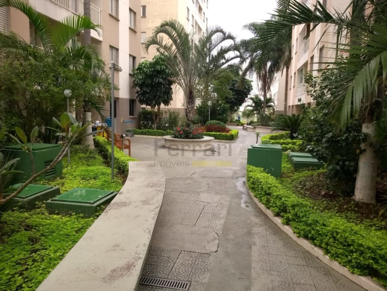 Foto 11