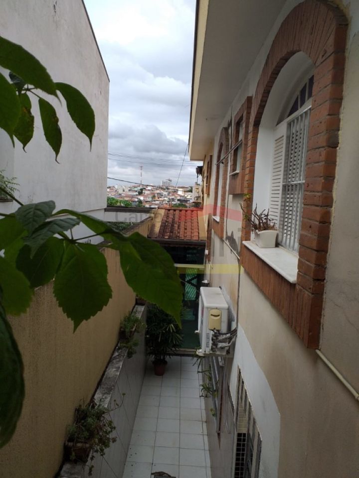 Foto 20