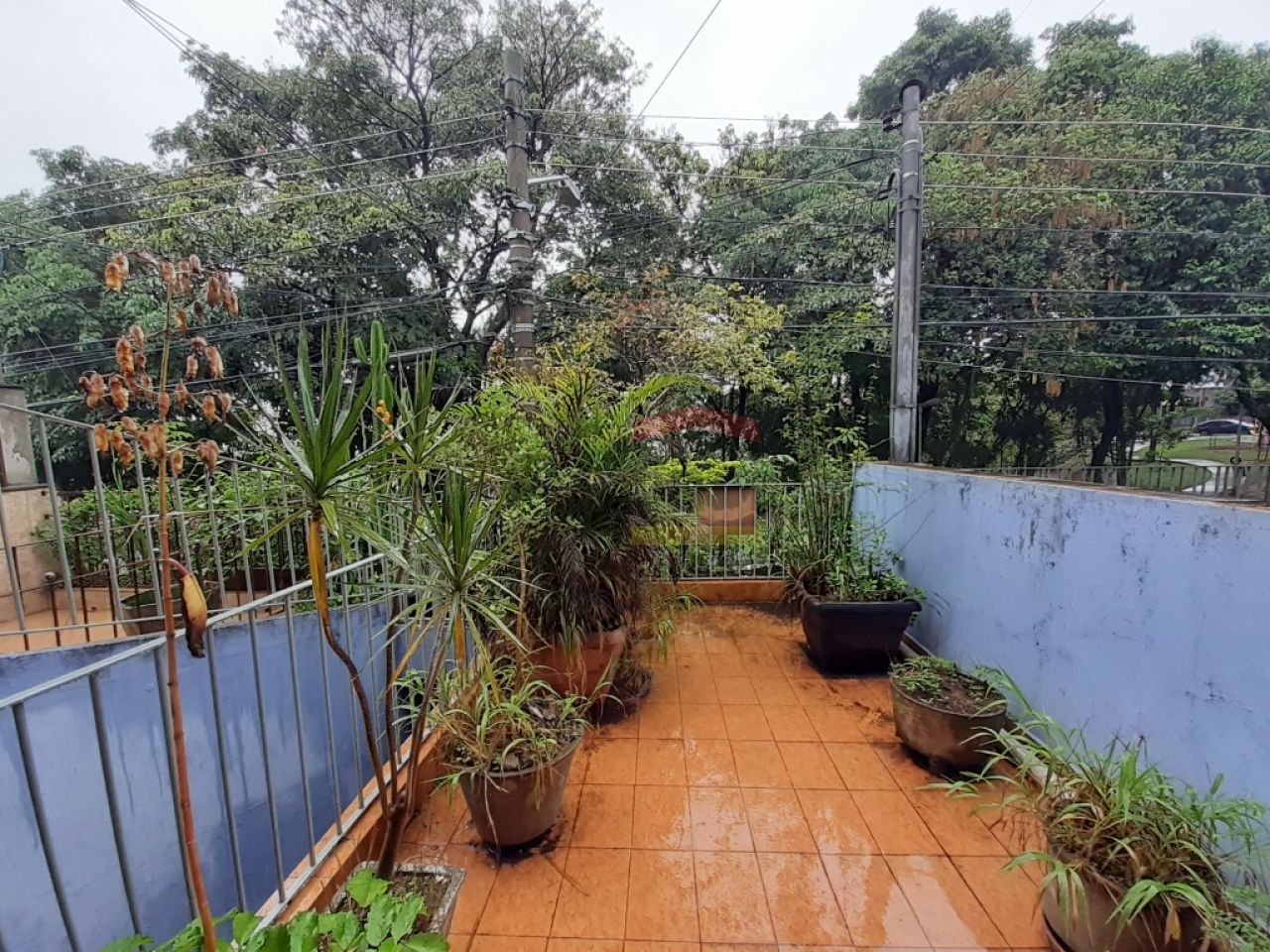 Foto 14