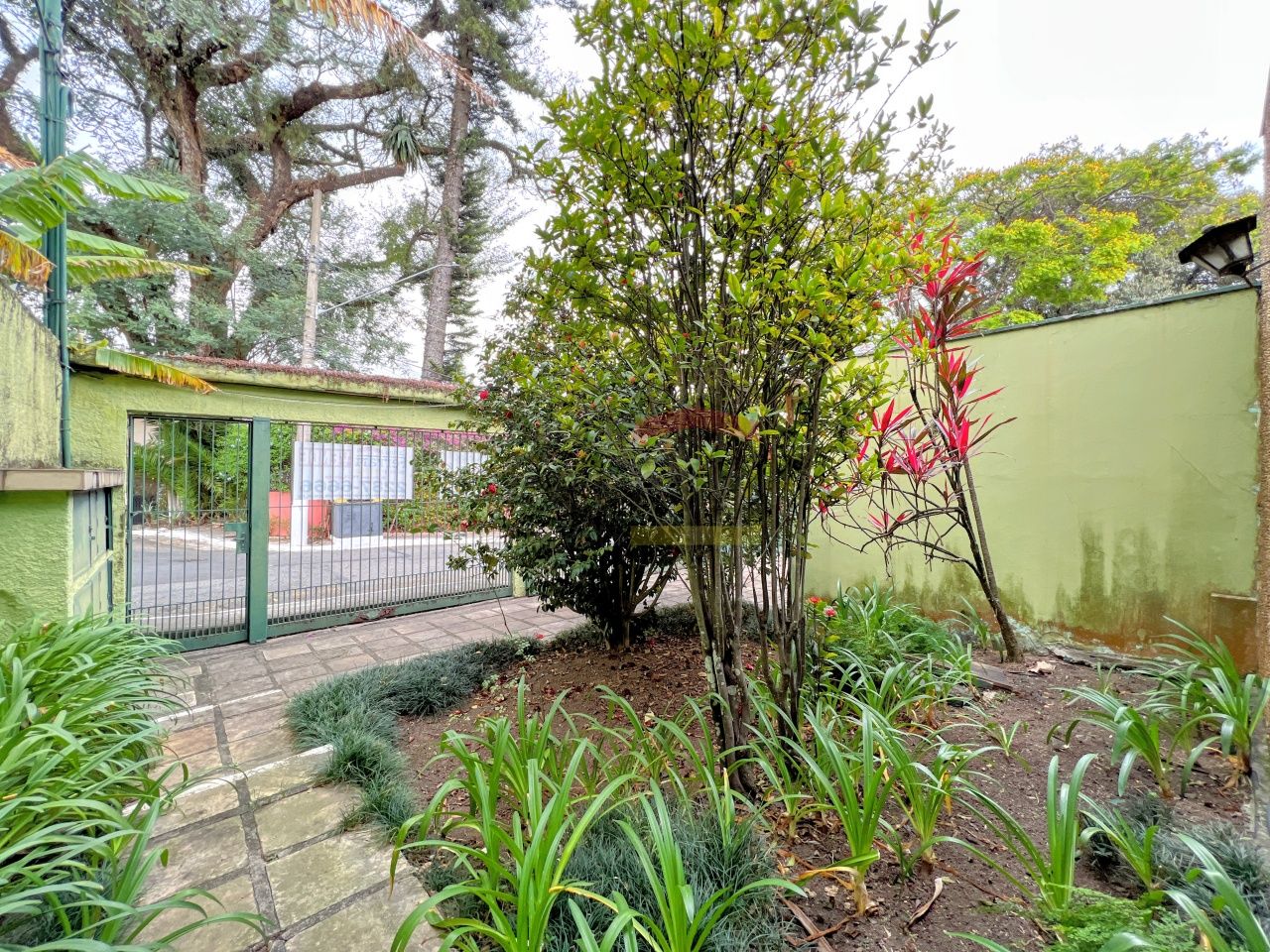 Foto 48