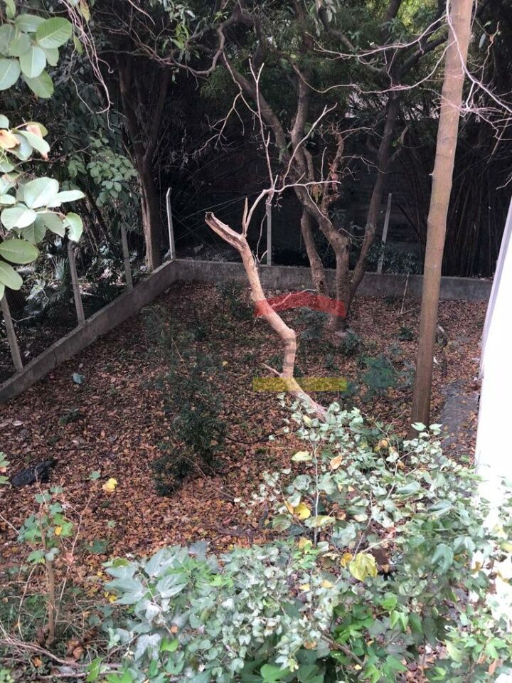 Foto 22