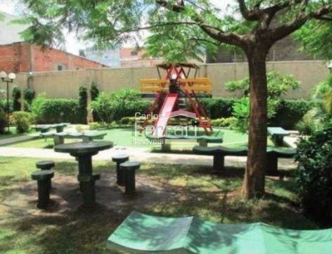 Foto 19
