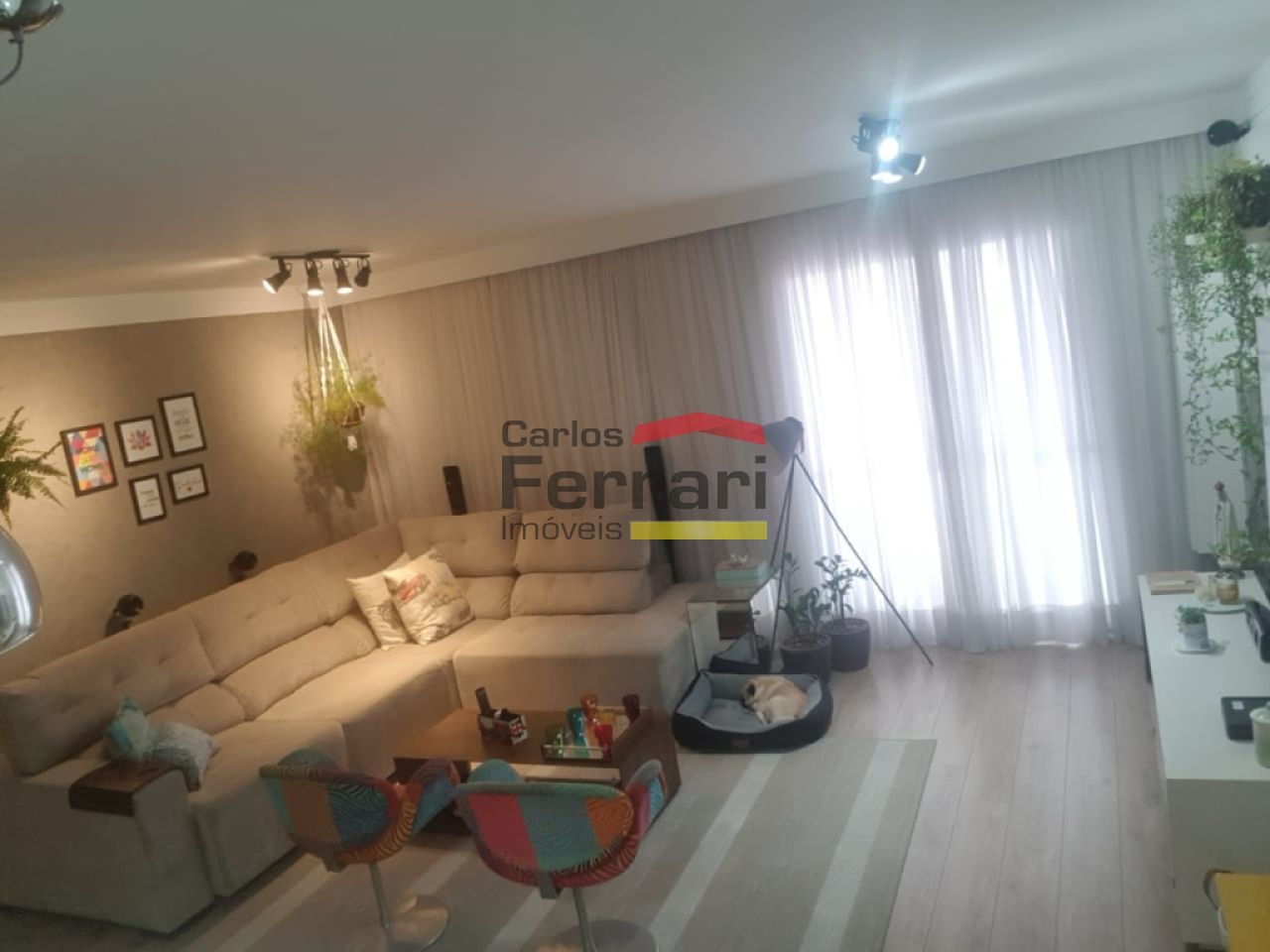 Foto 0