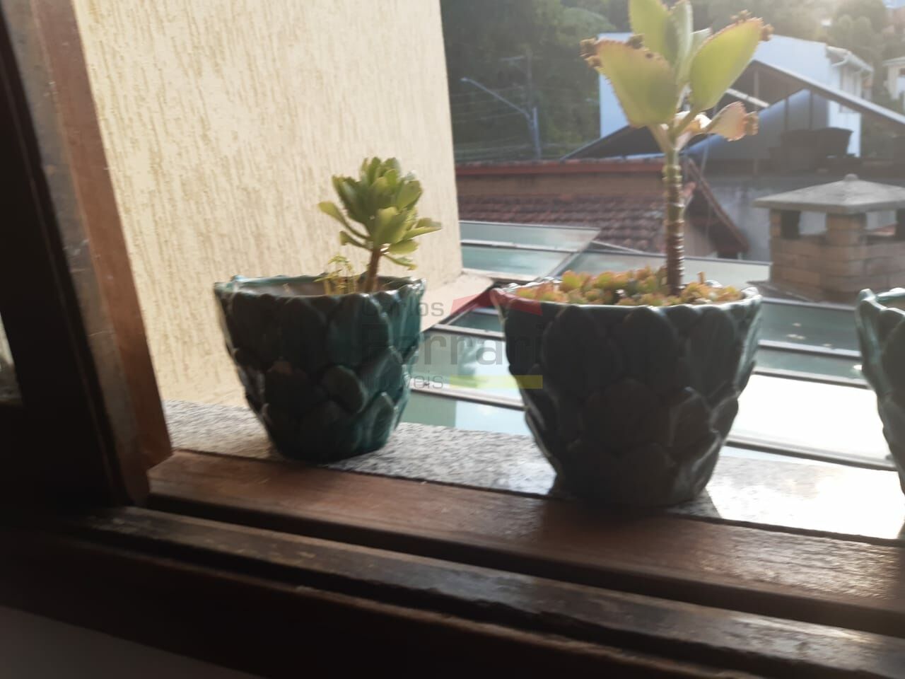 Foto 44