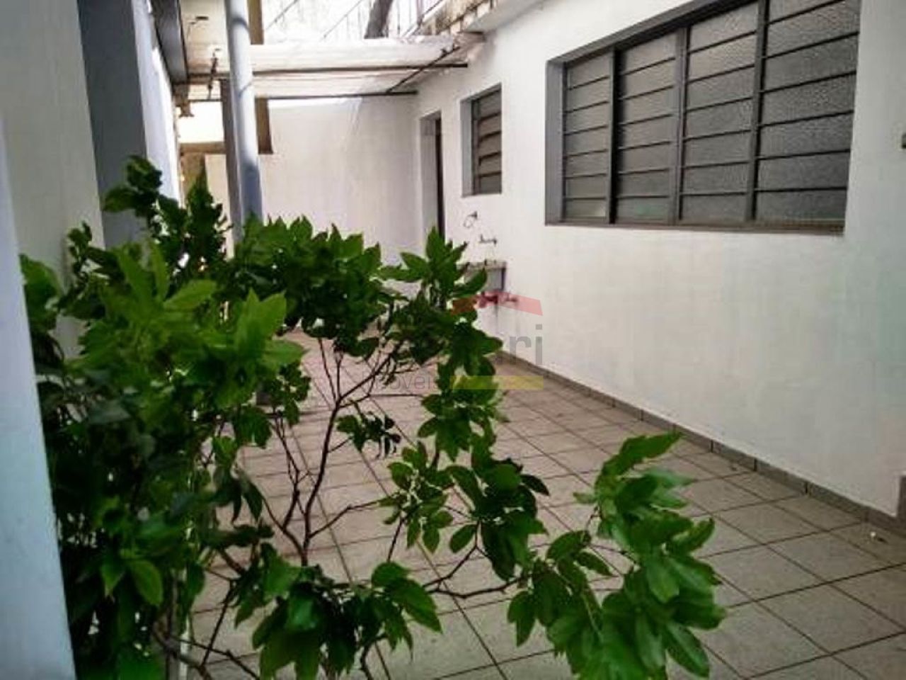 Foto 9