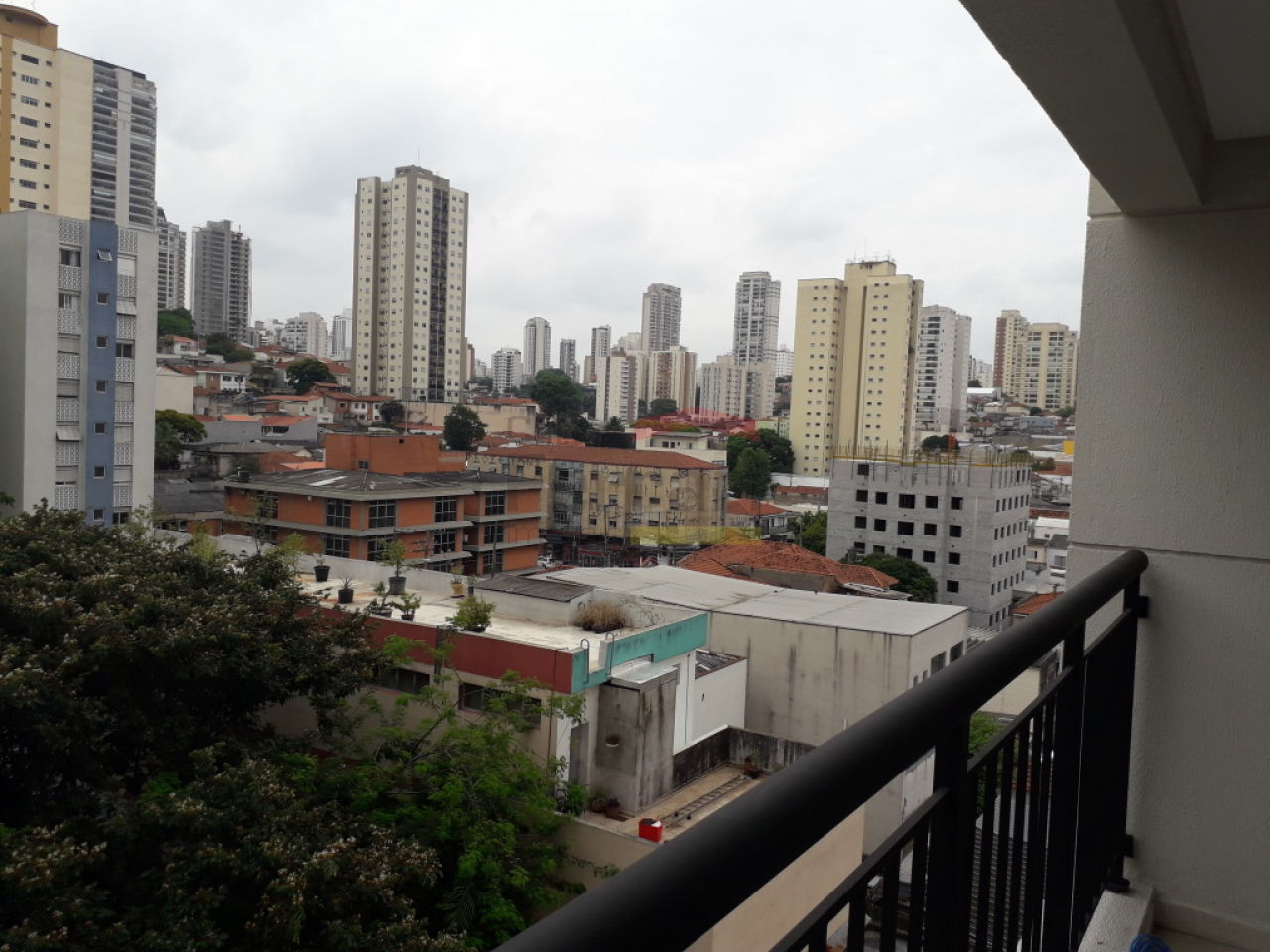 Foto 12