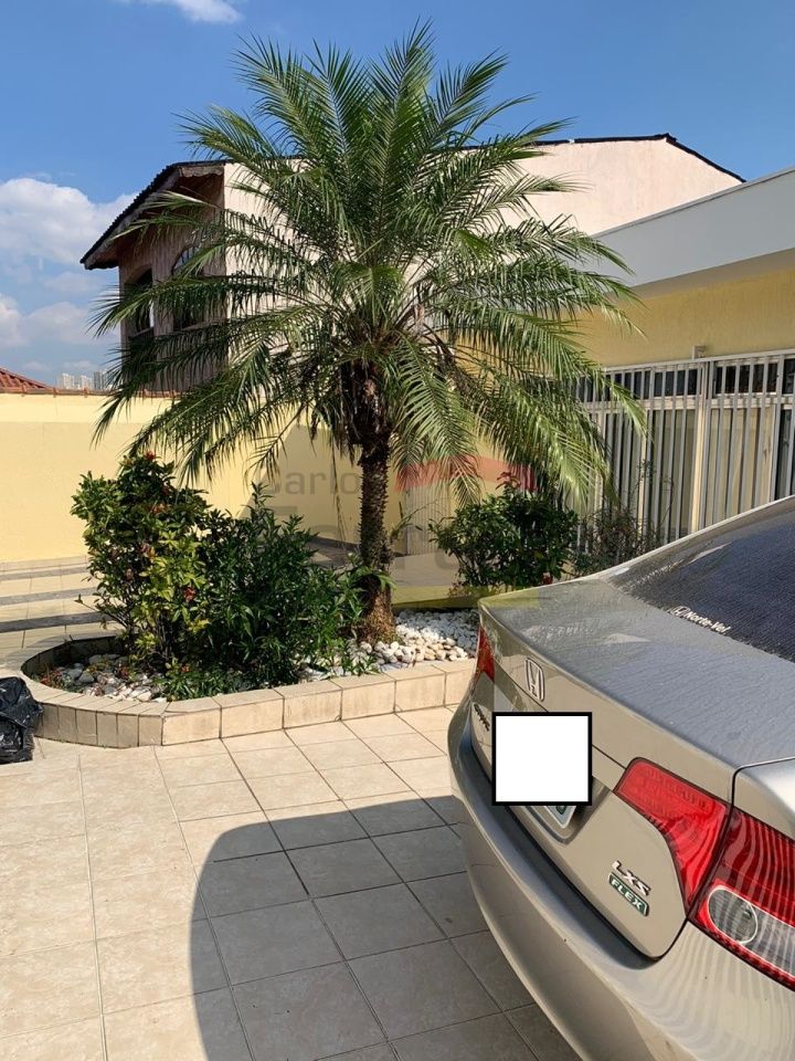Foto 22
