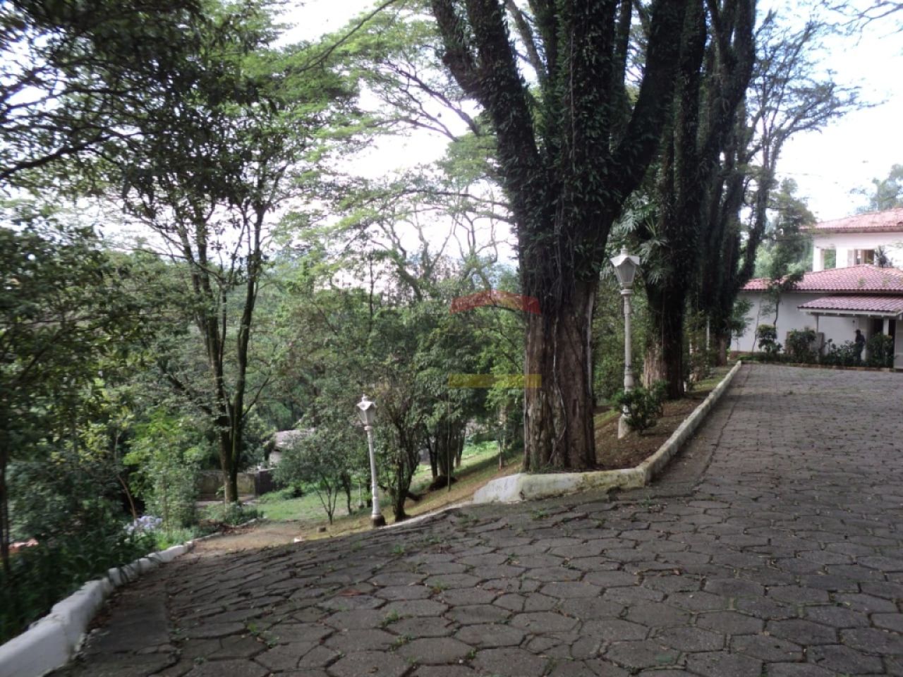 Foto 0