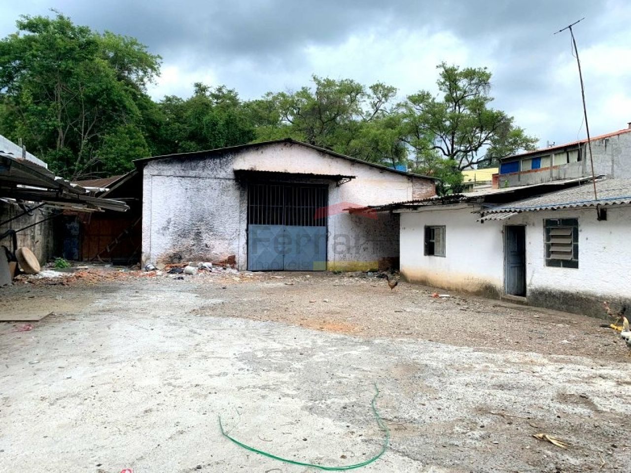 Foto 5