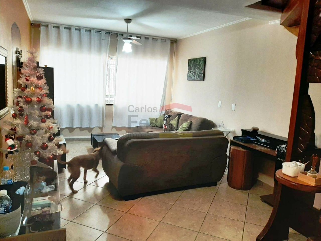 Foto 0