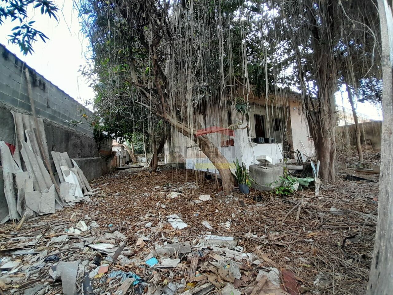 Foto 0
