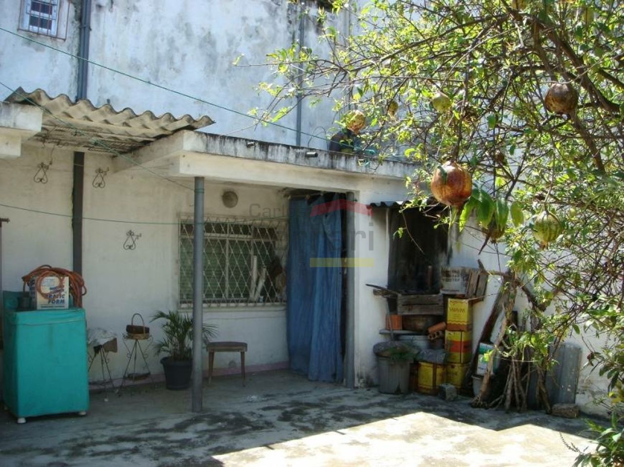 Foto 1