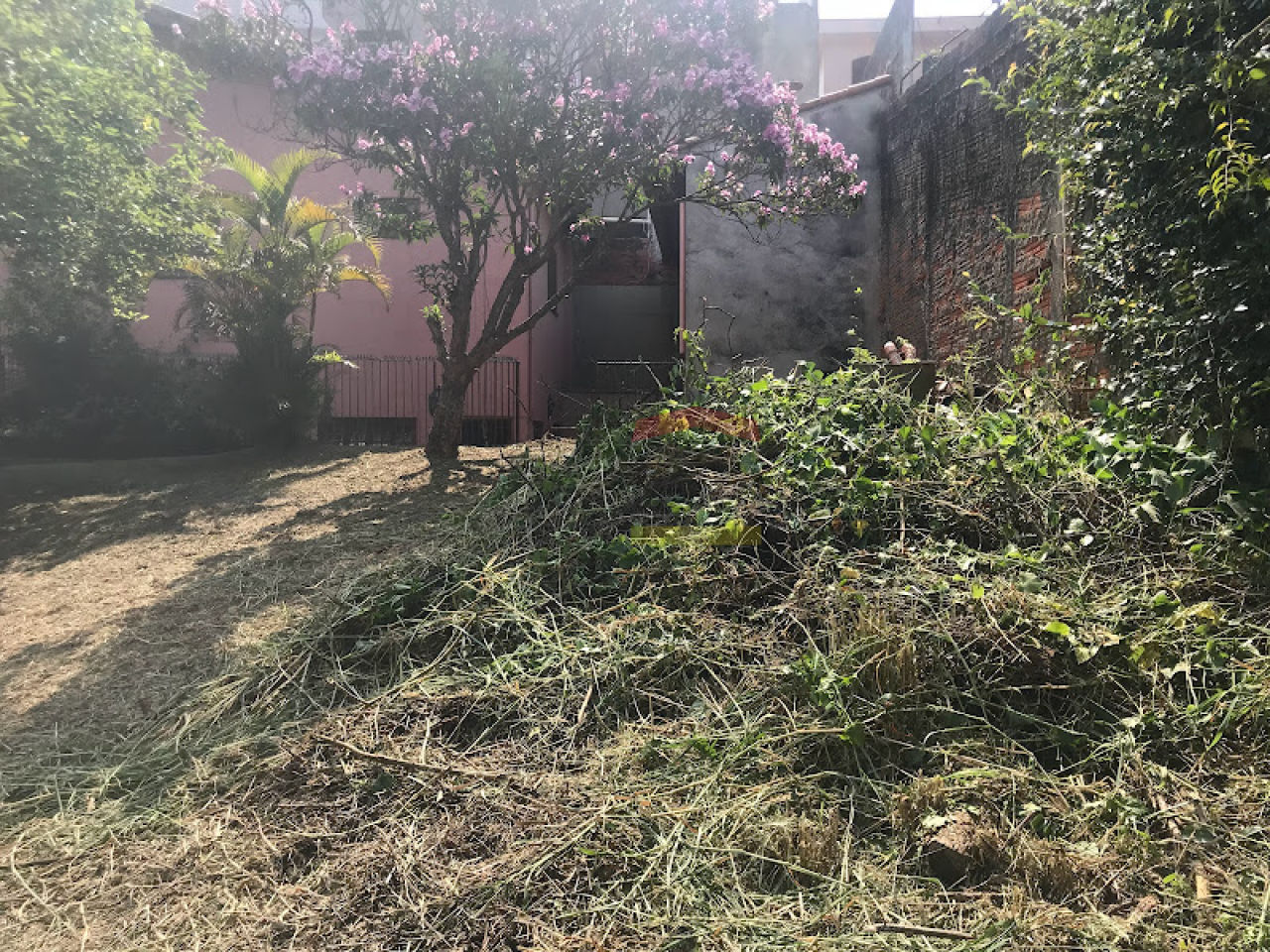 Foto 6