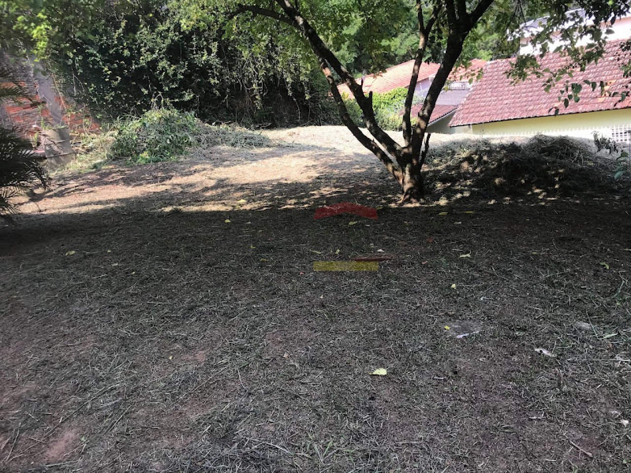 Foto 11