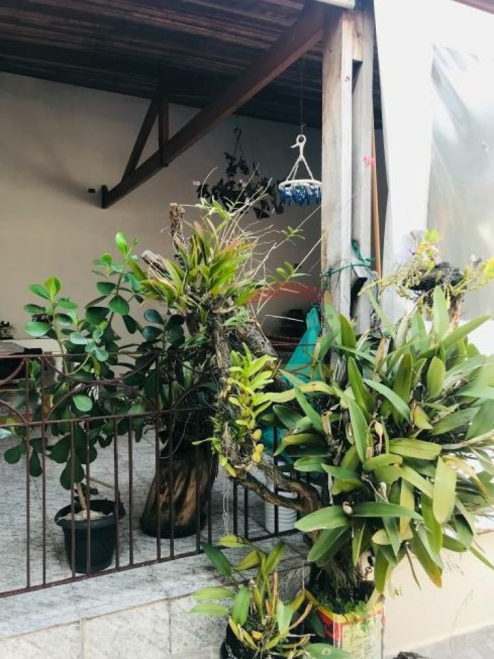 Foto 16
