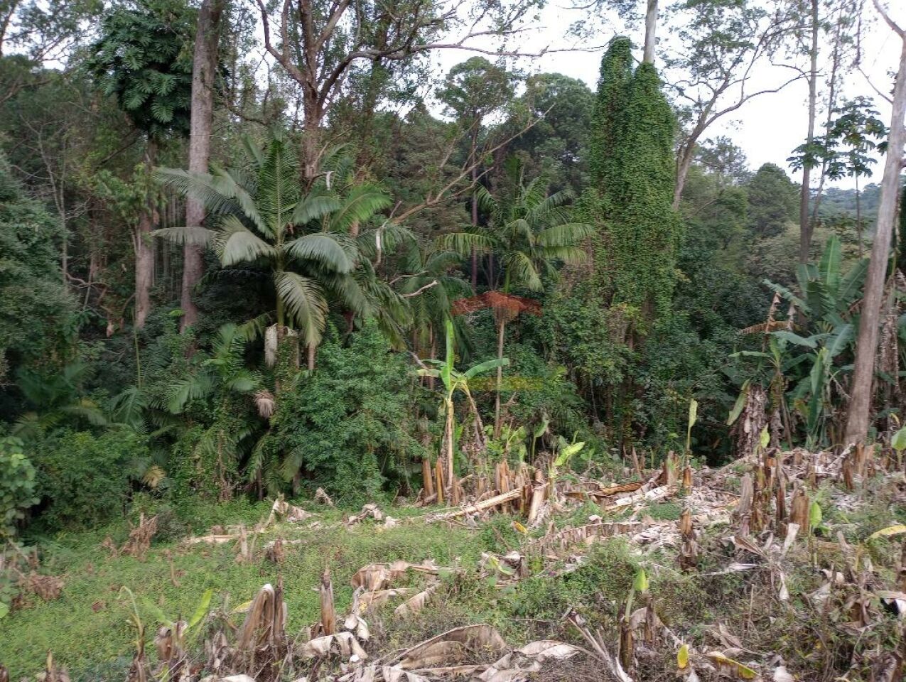Foto 9