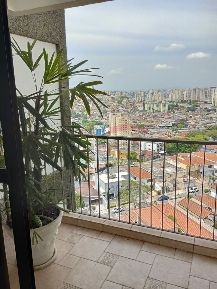 Foto 37