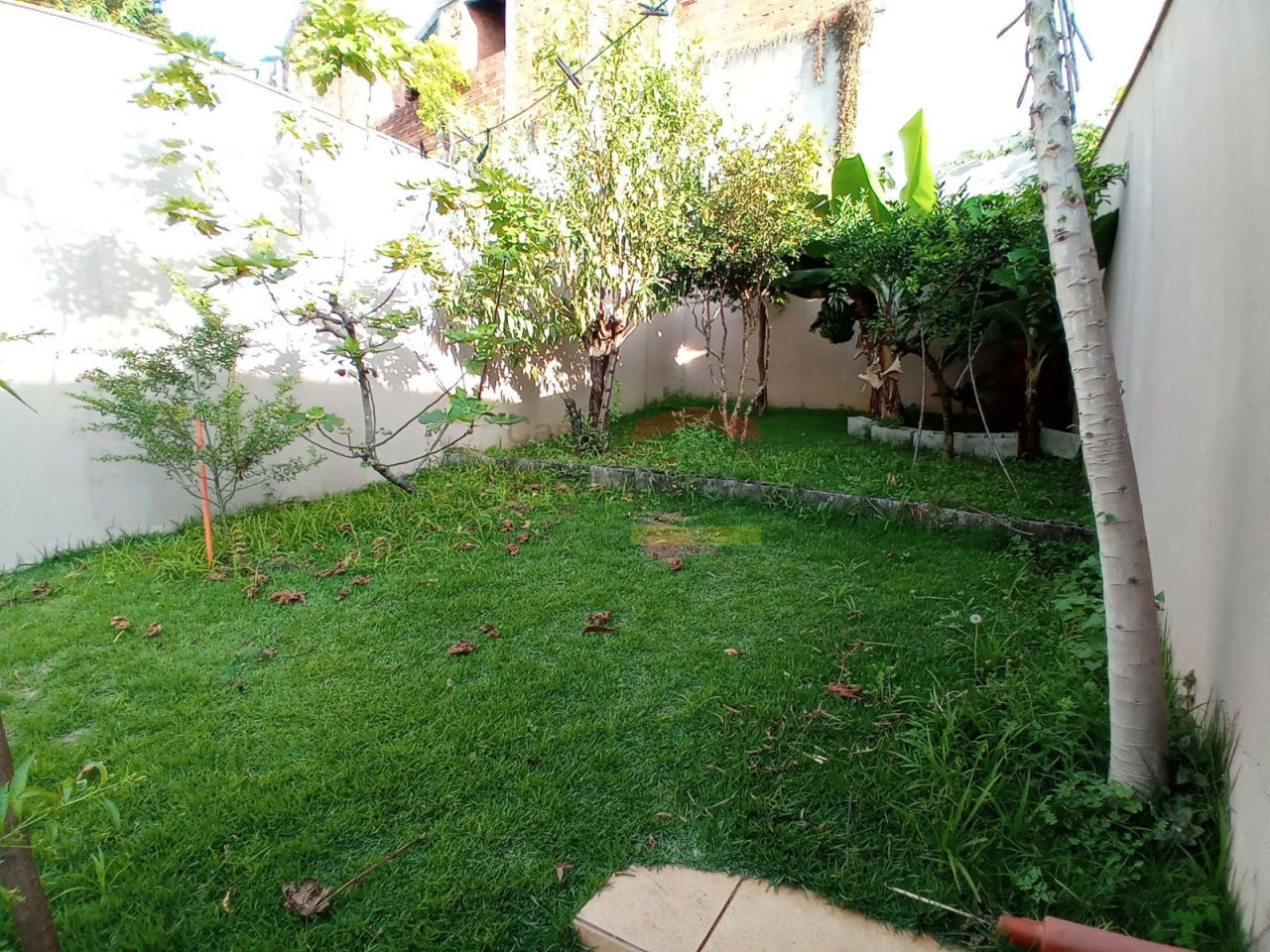 Foto 28