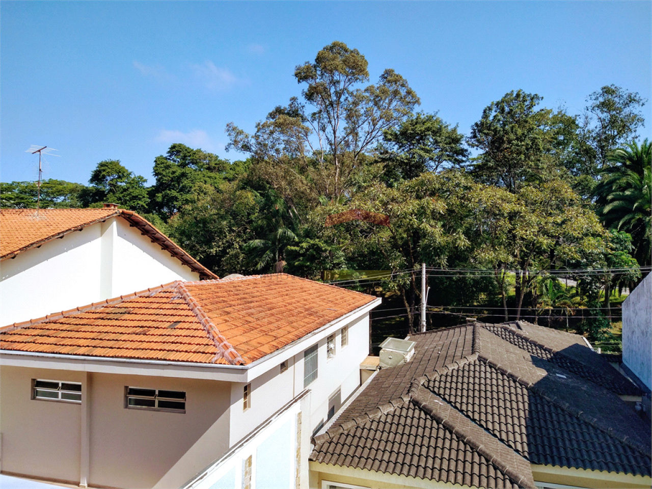 Foto 41