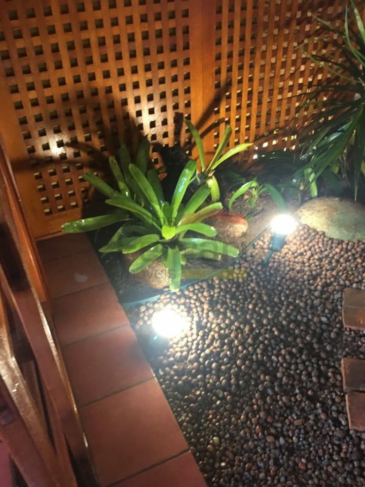 Foto 21