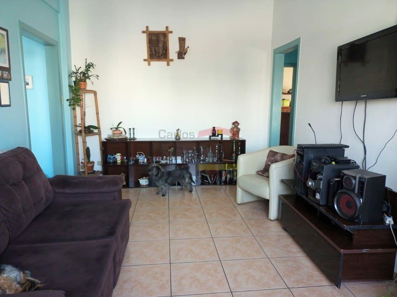 Foto 3