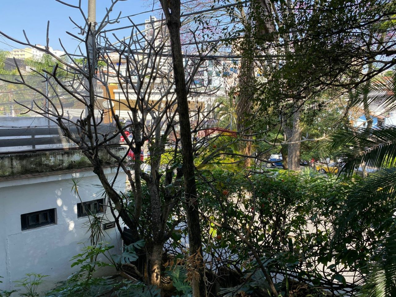 Foto 10