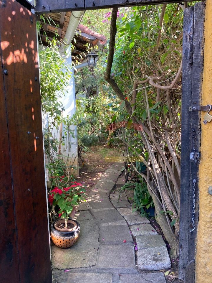 Foto 16