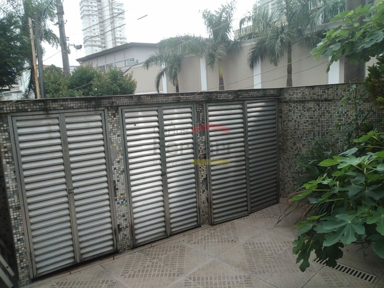 Foto 41