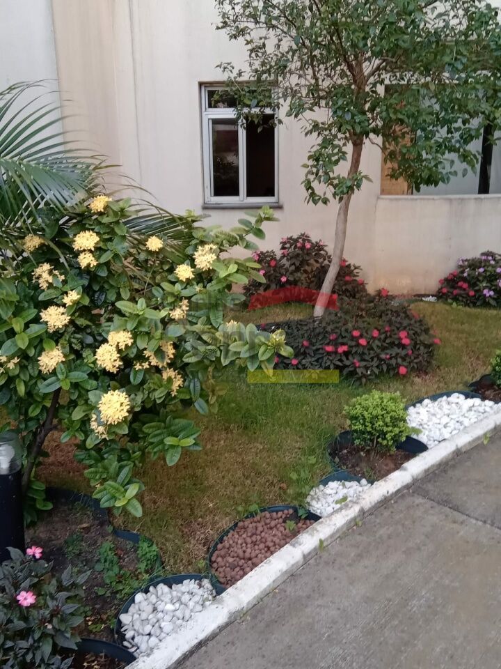 Foto 30