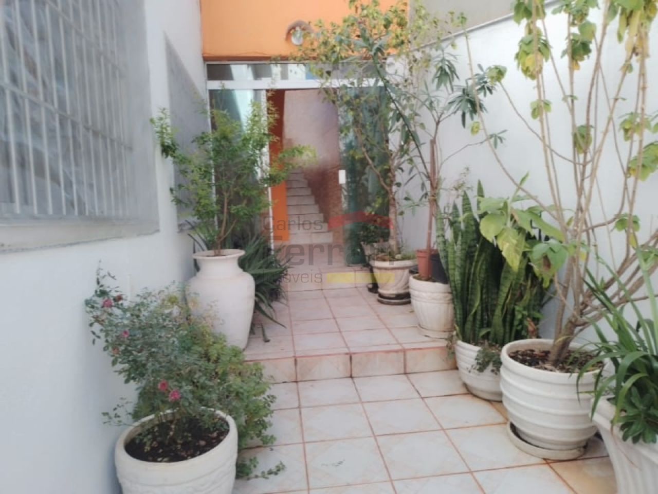 Foto 22