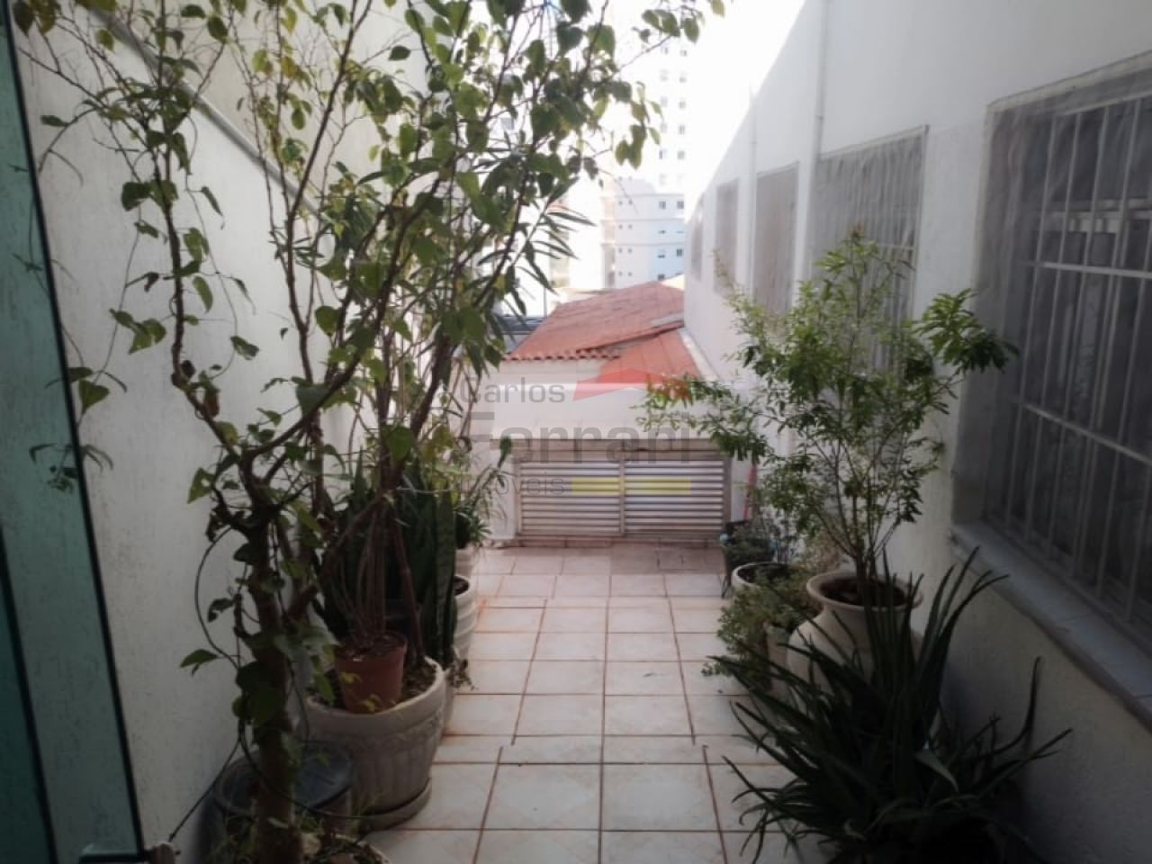 Foto 21