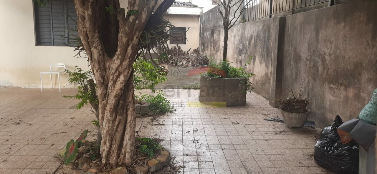 Foto 0