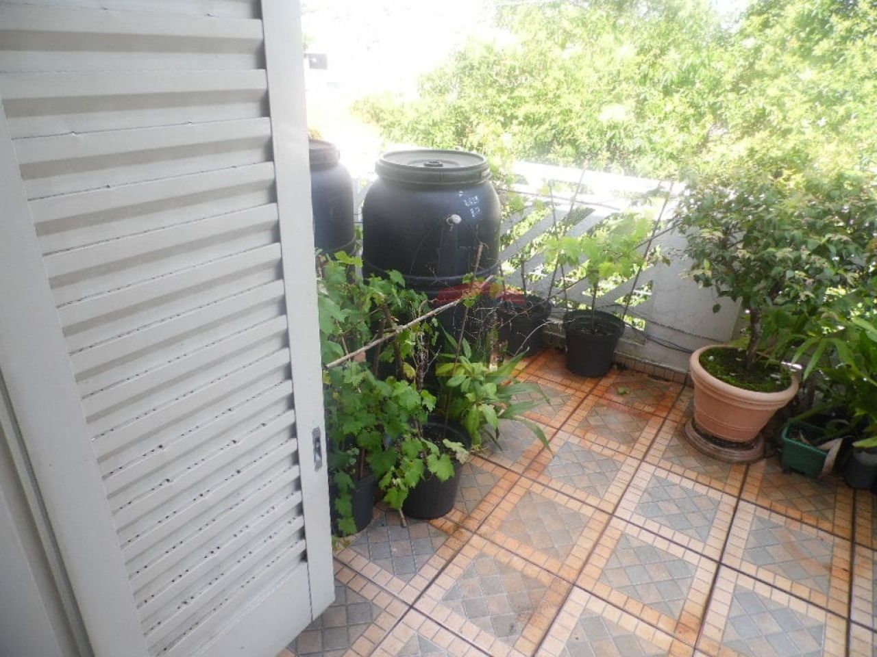 Foto 24