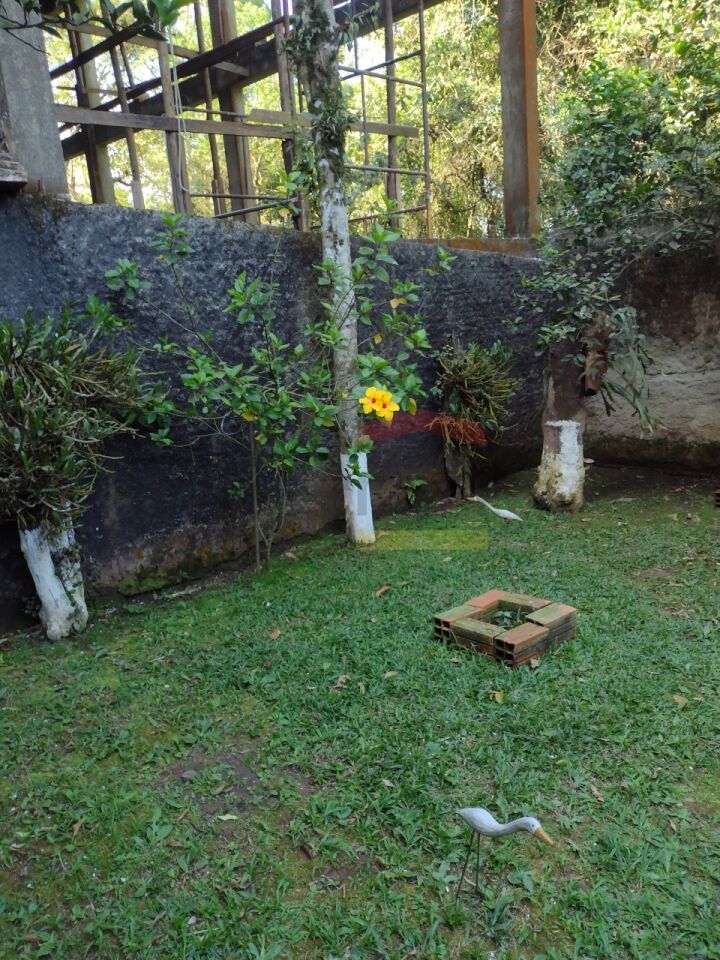 Foto 42