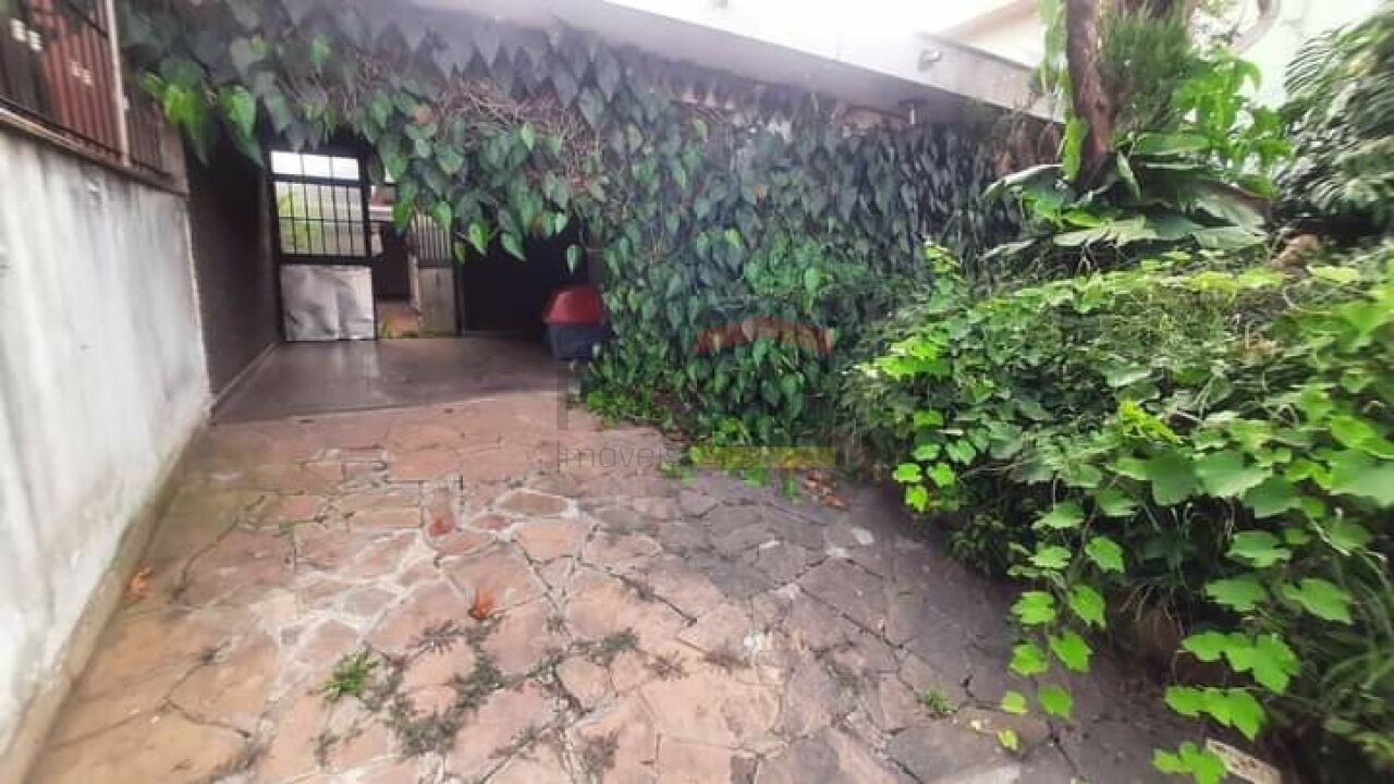 Foto 31