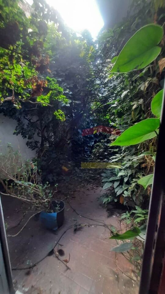 Foto 16