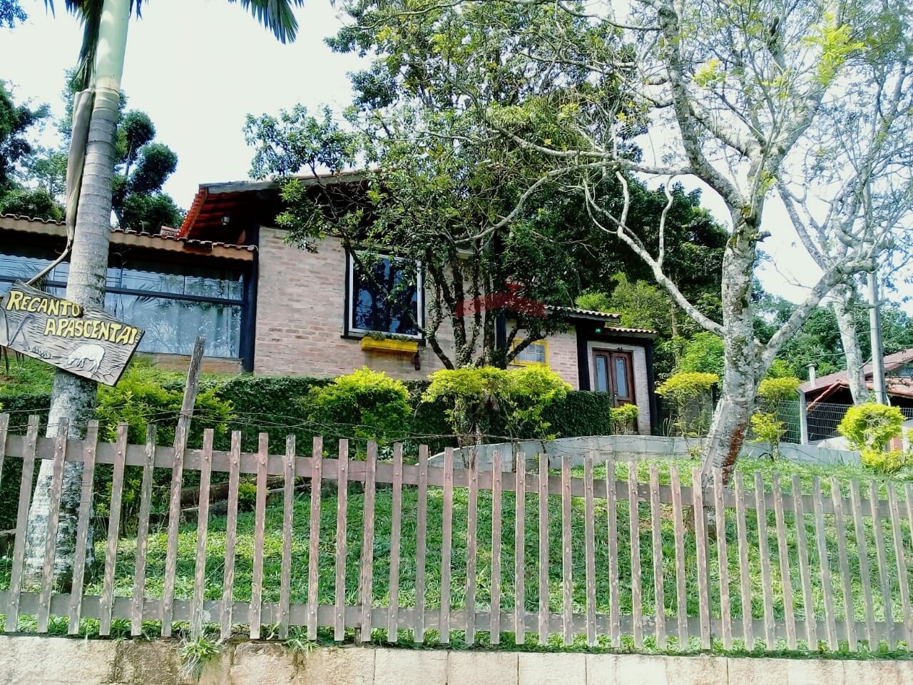 Foto 1