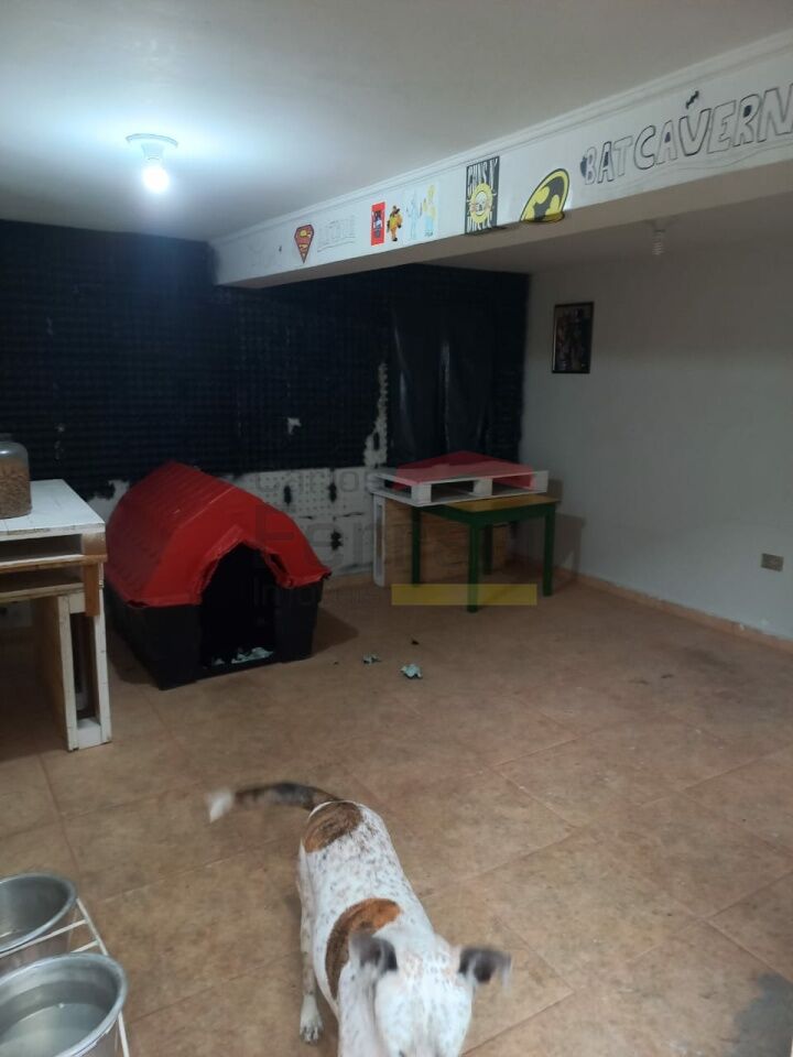 Foto 29