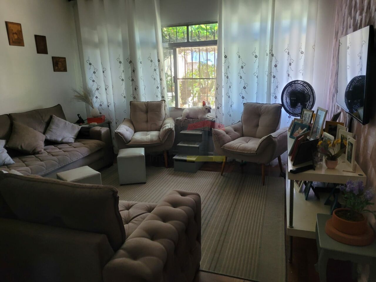 Foto 0