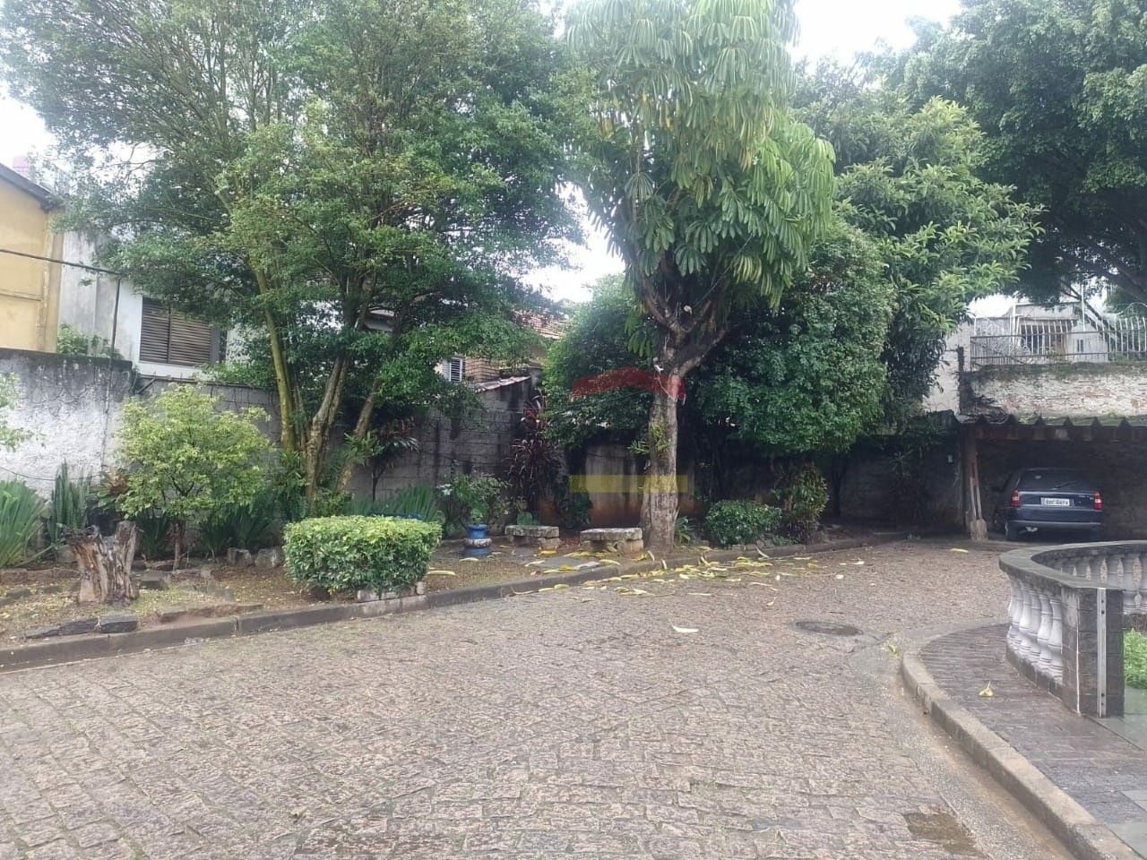 Foto 19