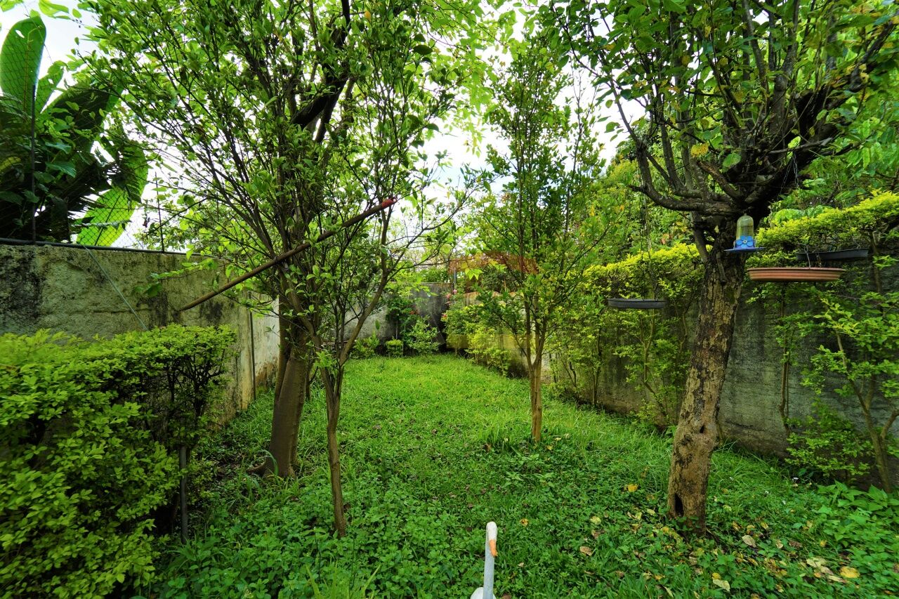 Foto 40