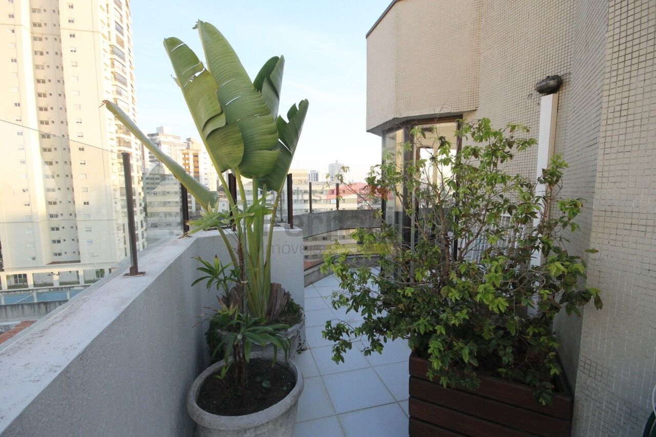 Foto 28