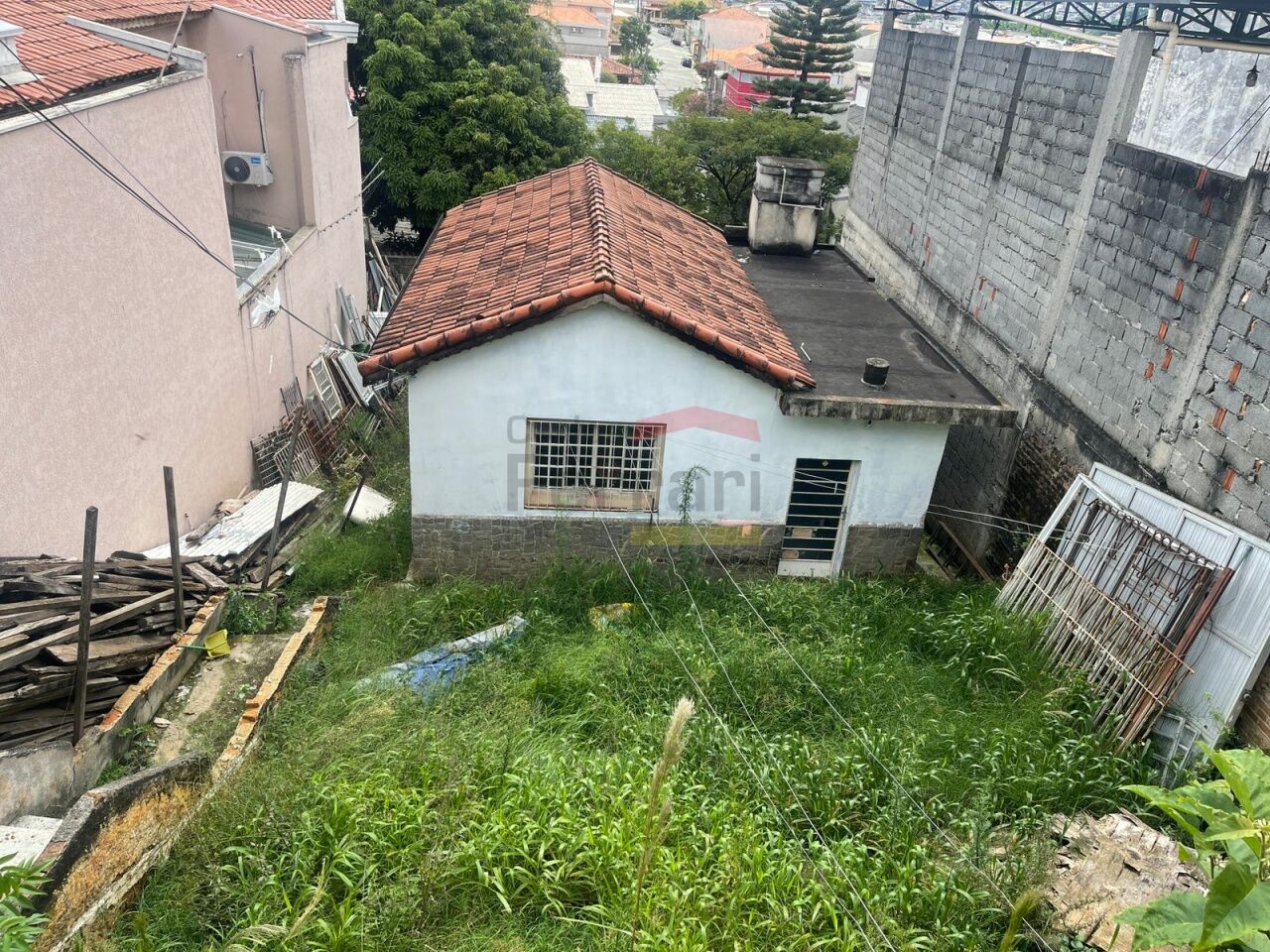 Foto 1