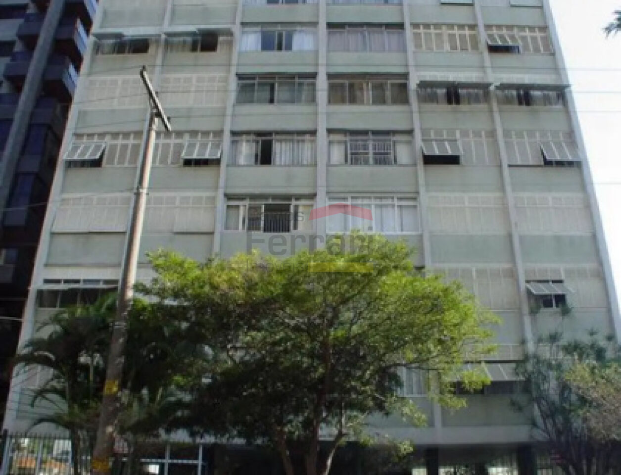 Foto 19