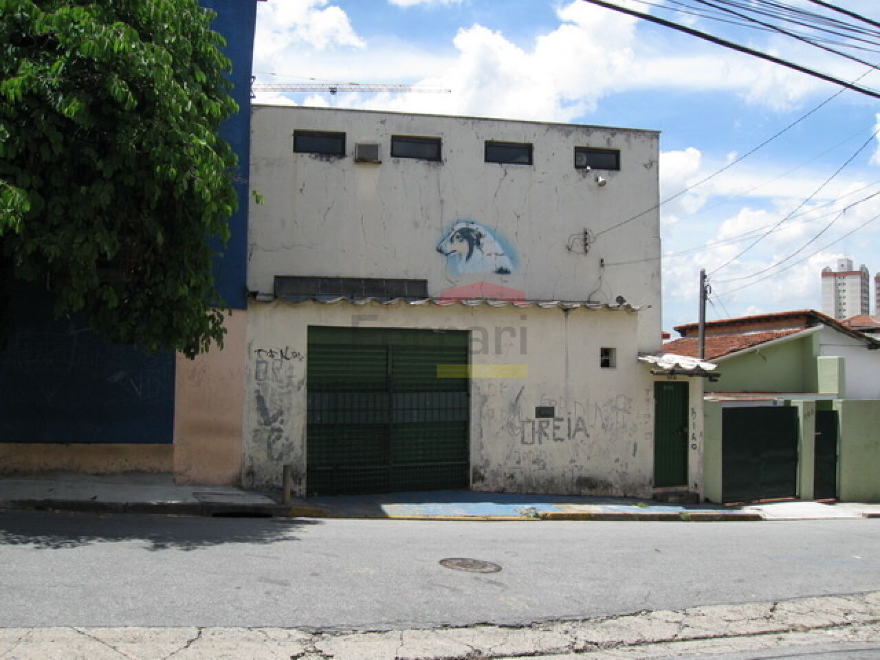 Foto 19